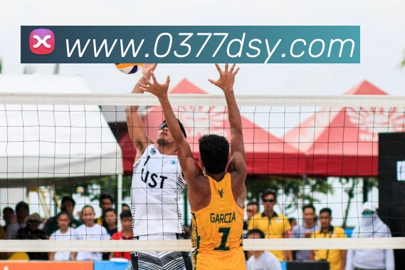 大三元官网平台登录发展历程